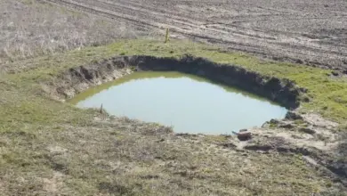 Malý rybník vykopaný v poli s vodou uprostřed travnatého okraje.
