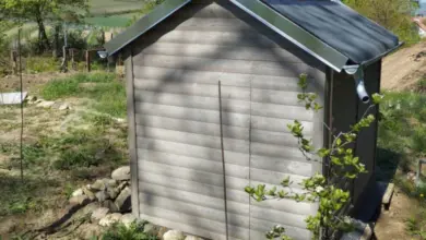 Dřevěná kůlna v zahradě ukazuje typickou stavbu pro regulaci vzdálenosti od sousedních pozemků.