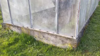Základ skleníku z betonu s náznaky vlhkosti a mechu.