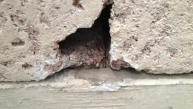 Velká prasklina v stropním panelu s chybějícím kusem betonu.