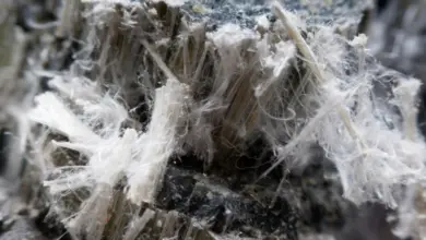 Bílá vlákna azbestu v betonu na makro fotografii.