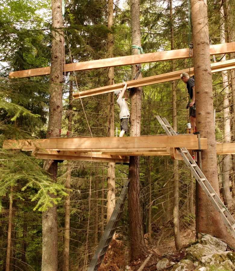 Montáž dřevěných trámů pro tradiční konstrukci v lese s použitím žebříků.