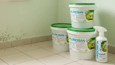 Černá plíseň na stěně s přípravky proti ní od značky Klinosan.