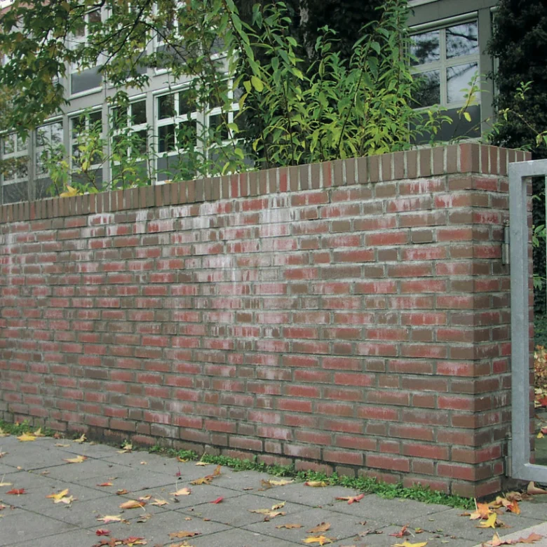 Cihlová zeď s bílými výkvěty na povrchu.