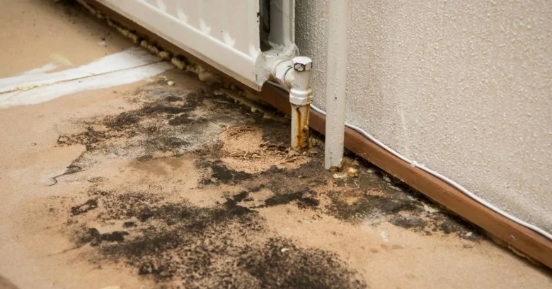 Černá plíseň na betonové podlaze u radiátoru