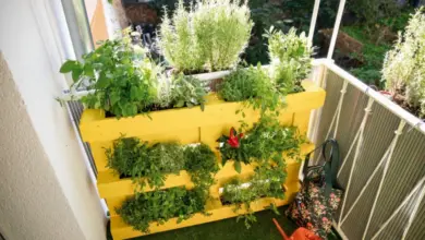 Žlutý paletový květináč s bylinkami na balkóně ukazuje rozložení váhy.