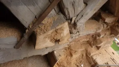 Zničené dřevěné trámy v konstrukci s hnilobou.