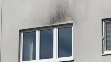 Černá plíseň nad oknem ukazuje špatné těsnění kvůli nízké přítlačné síle.