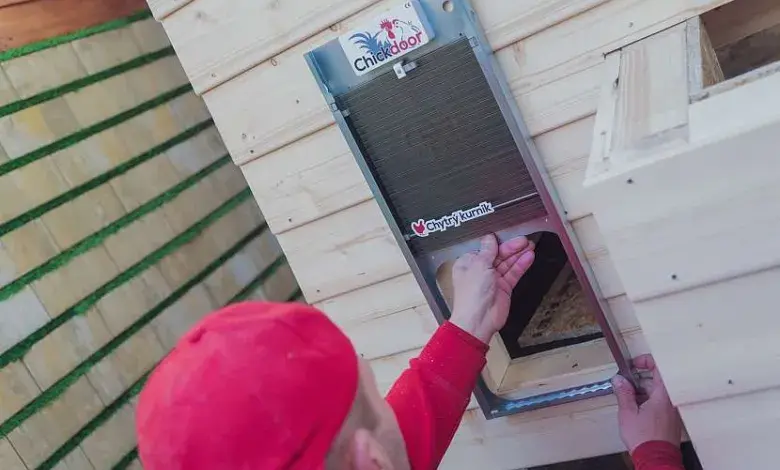 Instalace dveří do kurníku během stavby z pěnových bloků.