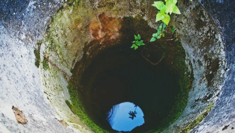 Zanedbaná studnice s rostlinami a mechem na okraji.