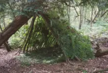 Přirozený úkryt v lese postavený z větví a paprsků.