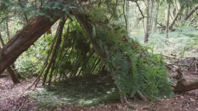 Přirozený úkryt v lese postavený z větví a paprsků.