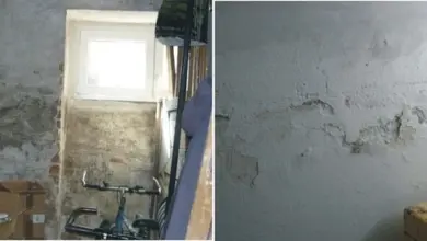 Poškozená zdi v suterénu s plísní a odlupující se omítkou.