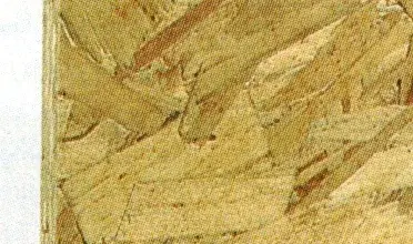 Osb and plywood panel cross-section