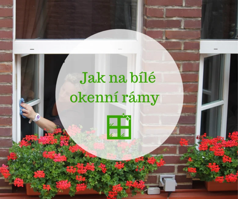 Člověk čistí bílý okenní rám u květin.