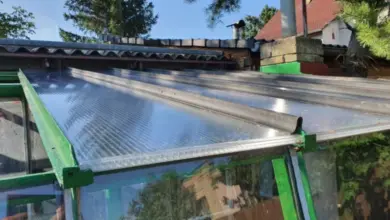 Skleněná střecha skleníku s průhlednými panely a zeleným rámem.