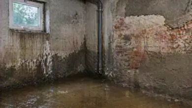 Zaplněný sklep s vlhkostí a odhalenými cihlovými zdi.