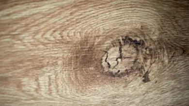Detail dřevotřísky s uzlem pro ilustraci povrchu obkladů.